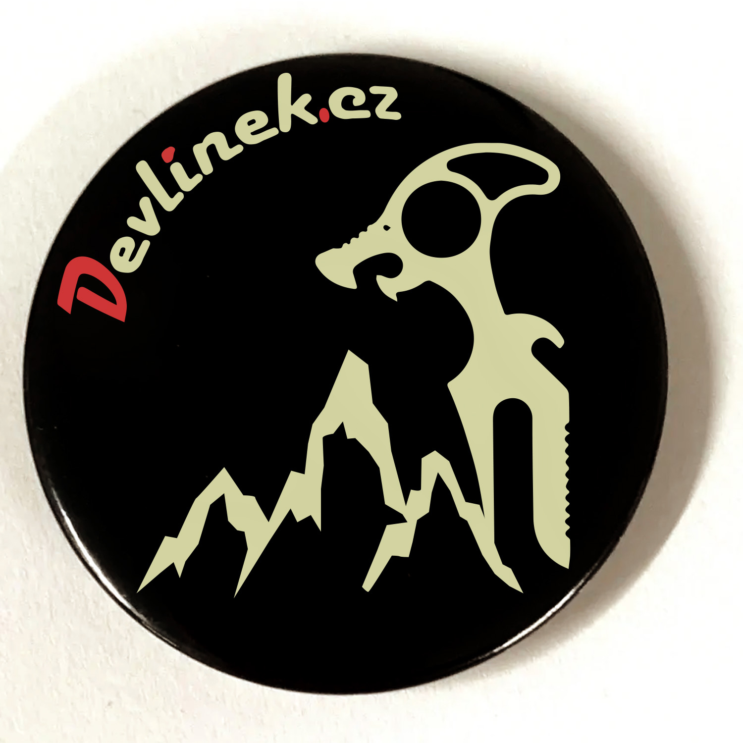 Placka, magnetka